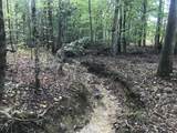 0 Farmhouse Trail - Photo 17