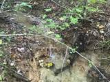 0 Farmhouse Trail - Photo 18