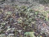 0 Farmhouse Trail - Photo 19