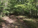 0 Farmhouse Trail - Photo 20