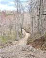 1105 Pendleton Branch Road - Photo 28