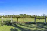 3515 Old Kentucky Hwy 52 - Photo 47