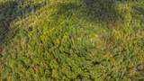 0 Lower Cane Creek/Edwards Rd Road - Photo 8