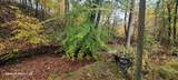 1121 Breeding Road - Photo 10