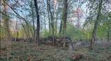 987 Pauls Mill Road - Photo 7