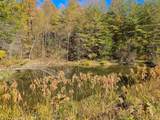 TRACT 2 1445 Bastin Creek Road - Photo 28