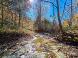 TRACT 2 1445 Bastin Creek Road - Photo 59