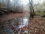 1666 Pointer Creek Road - Photo 2