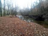 1666 Pointer Creek Road - Photo 3