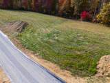41 Spring Branch Hollow Road - Photo 2