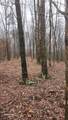 3504 East Fork Road - Photo 5