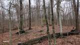 3504 East Fork Road - Photo 7