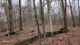3504 East Fork Road - Photo 8