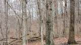 3504 East Fork Road - Photo 9