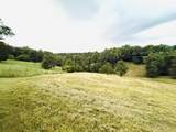 1231 Pleasant Grove Ridge Road - Photo 29
