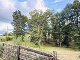 1231 Pleasant Grove Ridge Road - Photo 31