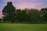 1231 Pleasant Grove Ridge Road - Photo 5