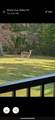 899 Ralley Road - Photo 61