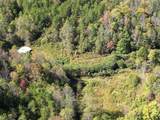 9999 Ohler Branch - Photo 7