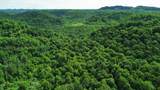 3800A Butcher Hollow Rd - Photo 13
