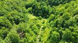 3800A Butcher Hollow Rd - Photo 15