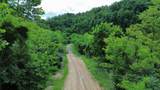 3800A Butcher Hollow Rd - Photo 17