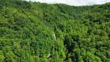 3800A Butcher Hollow Rd - Photo 18