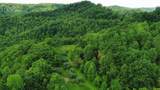 3800A Butcher Hollow Rd - Photo 32