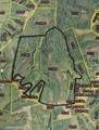 0 Powersville Willow Road - Photo 8