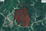 0 Powersville Willow Road - Photo 9