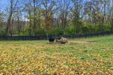 3661 Military Pike - Photo 49