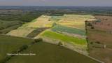 2262 Cane Ridge Road - Photo 1