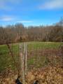 355 Mudlick Road - Photo 20