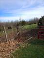 355 Mudlick Road - Photo 21