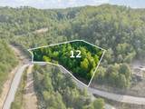 Lot 12 Sleepy Hollow Road - Photo 1