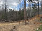 Lot 4 Phase 2 Stearns Hollow Road - Photo 1