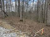 Lot 9 Phase 2 Stearns Hollow Road - Photo 3