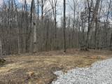 Lot 10 Phase 2 Stearns Hollow Road - Photo 3