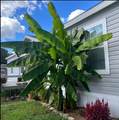552 D Anders Road - Photo 24