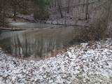 617 Walk Log Branch Road - Photo 12