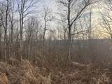 617 Walk Log Branch Road - Photo 18