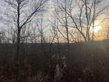 617 Walk Log Branch Road - Photo 19