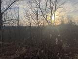 617 Walk Log Branch Road - Photo 21