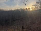 617 Walk Log Branch Road - Photo 22