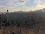 617 Walk Log Branch Road - Photo 4