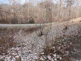617 Walk Log Branch Road - Photo 6