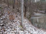 617 Walk Log Branch Road - Photo 8