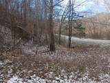 617 Walk Log Branch Road - Photo 9