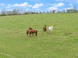 2690 Pond School Road - Photo 2