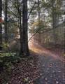301 Otter Creek Road - Photo 32